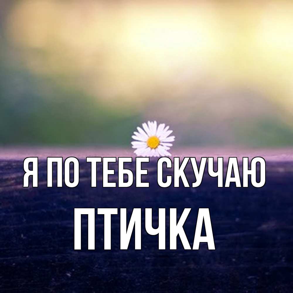 Открытка на каждый день с именем, Птичка Я по тебе скучаю приходи в гости Прикольная открытка с пожеланием онлайн скачать бесплатно 