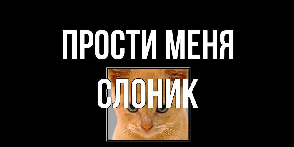 Открытка на каждый день с именем, Слоник Прости меня рыжий грустный кот просит прощения Прикольная открытка с пожеланием онлайн скачать бесплатно 