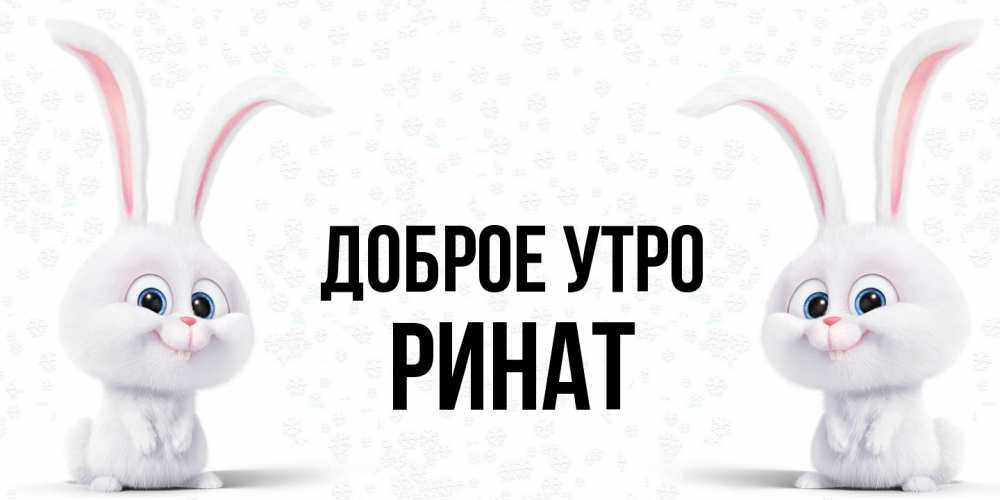 Открытка на каждый день с именем, Ринат Доброе утро кролики с длинными ушками Прикольная открытка с пожеланием онлайн скачать бесплатно 