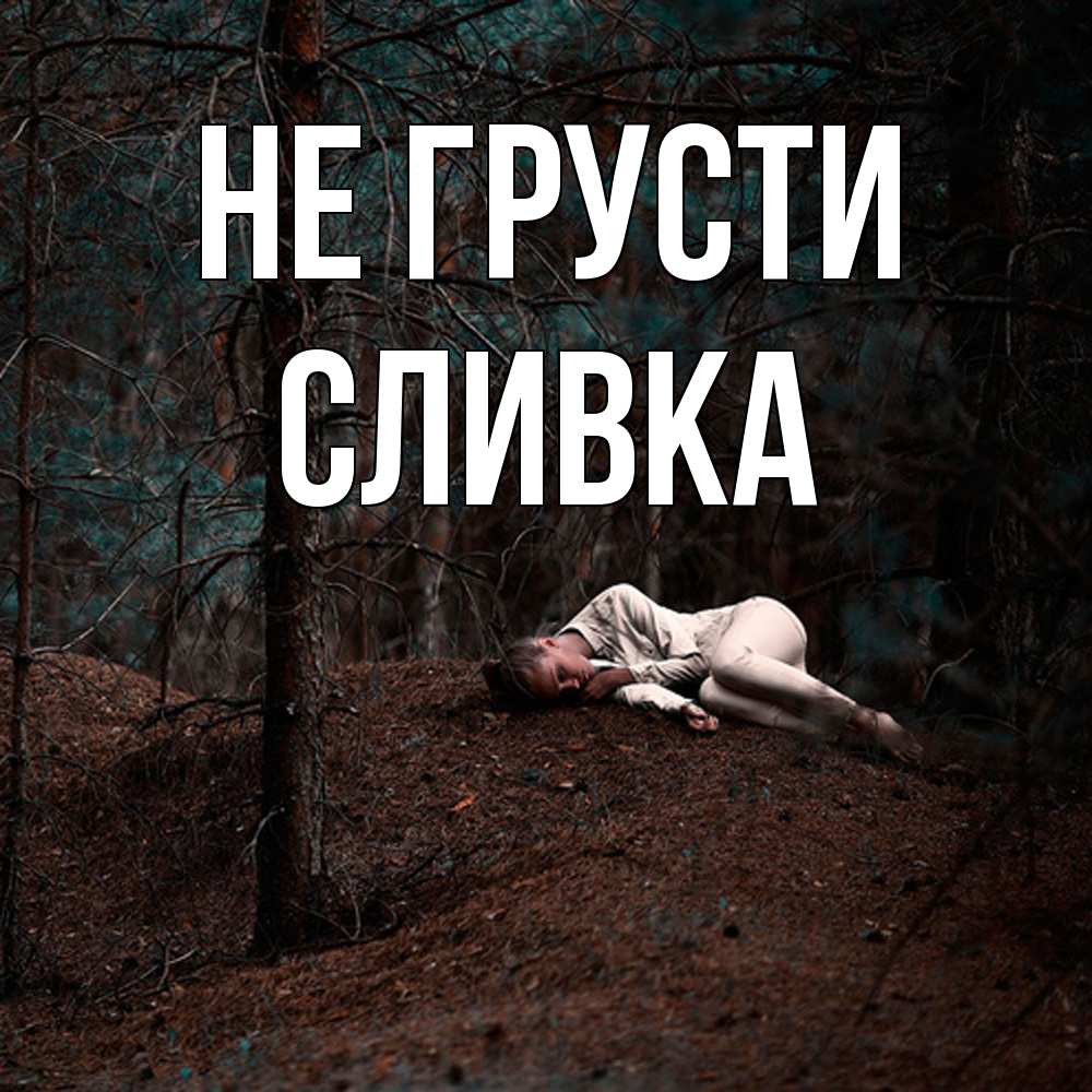 Открытка на каждый день с именем, Сливка Не грусти лес Прикольная открытка с пожеланием онлайн скачать бесплатно 