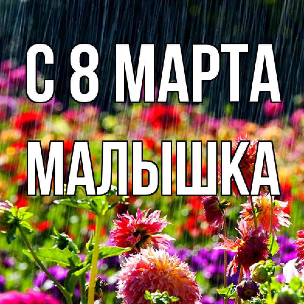 Открытка на каждый день с именем, малышка C 8 МАРТА цветы под дождиком к международному женскому дню Прикольная открытка с пожеланием онлайн скачать бесплатно 