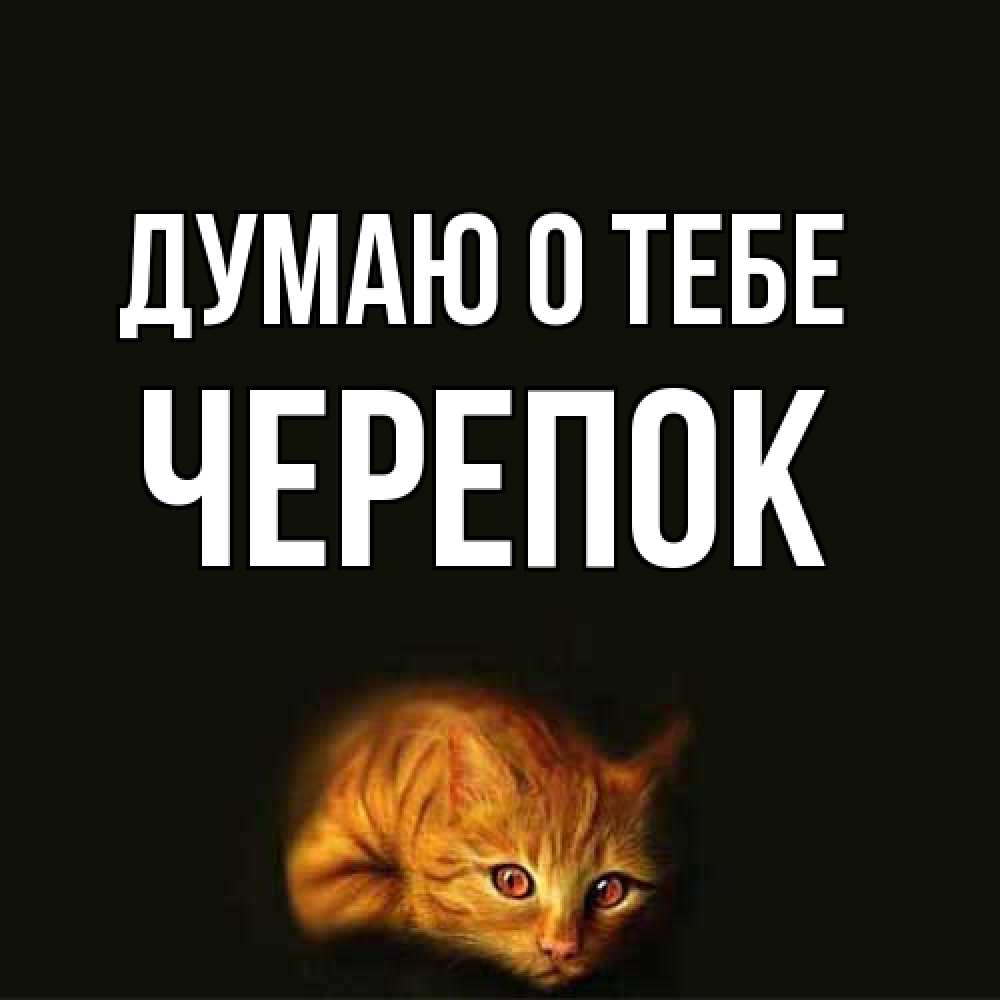 Открытка на каждый день с именем, Черепок Думаю о тебе рыжий Прикольная открытка с пожеланием онлайн скачать бесплатно 