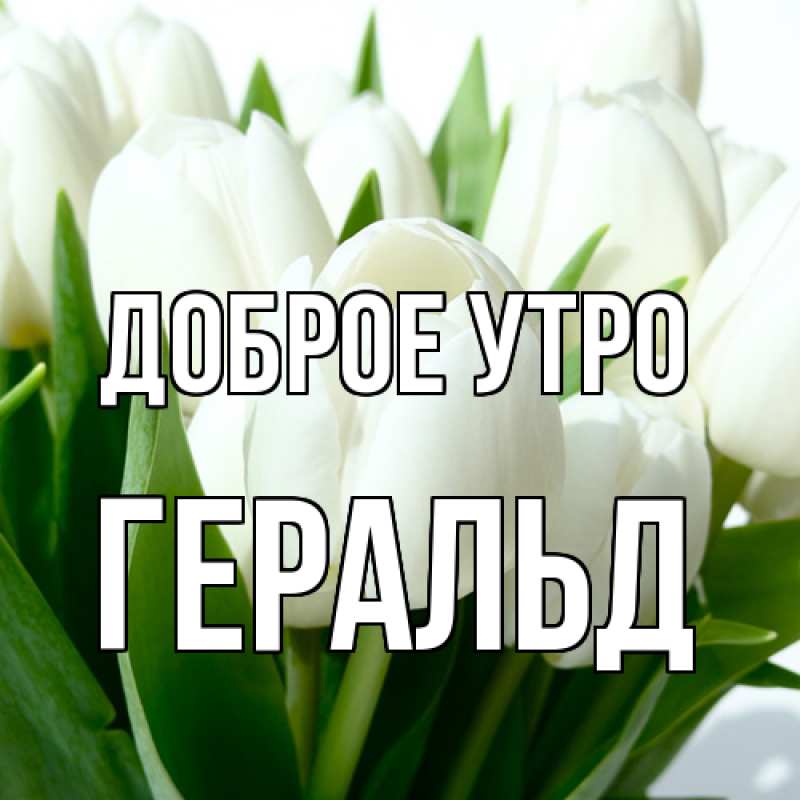 Картинка Доброе утро, Геральд