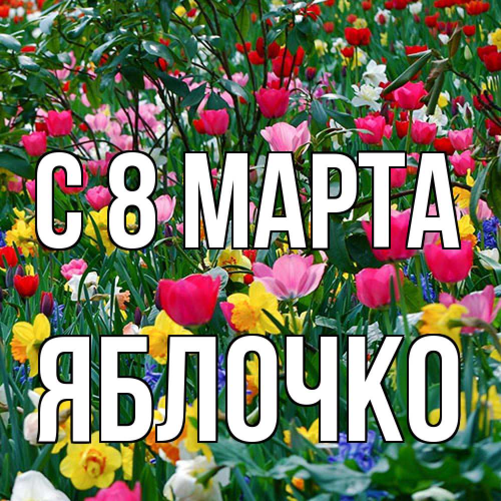 Открытка на каждый день с именем, яблочко C 8 МАРТА с международным женским днем поздравления для женщины Прикольная открытка с пожеланием онлайн скачать бесплатно 