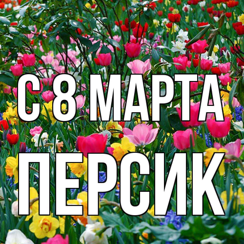 Открытка на каждый день с именем, Персик C 8 МАРТА с международным женским днем поздравления для женщины Прикольная открытка с пожеланием онлайн скачать бесплатно 