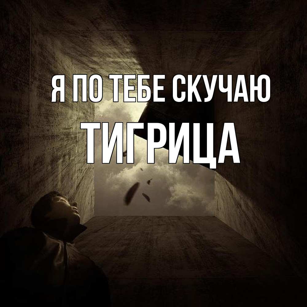 Открытка на каждый день с именем, Тигрица Я по тебе скучаю тут Прикольная открытка с пожеланием онлайн скачать бесплатно 