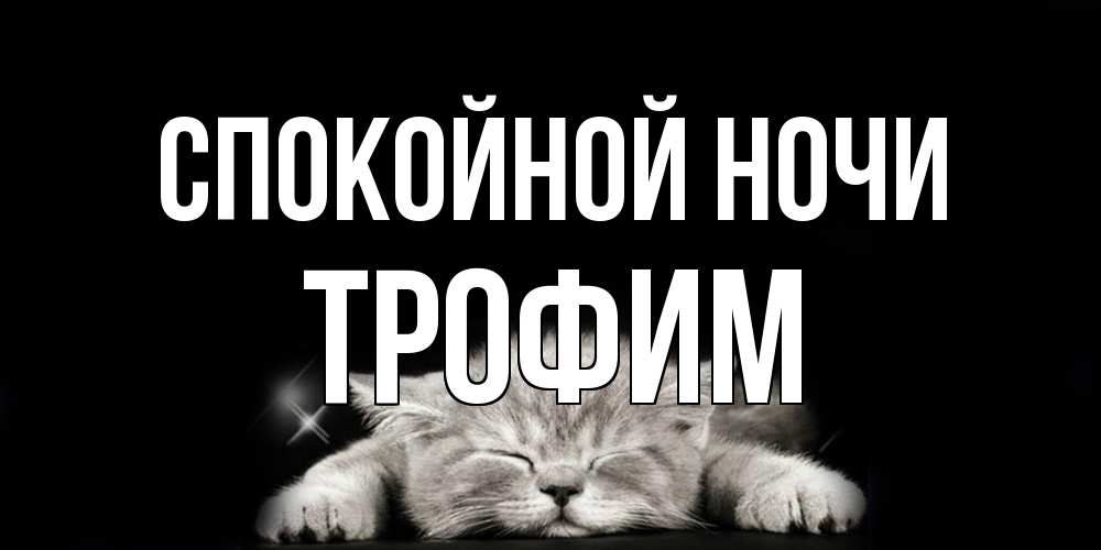 Открытка на каждый день с именем, Трофим Спокойной ночи спящий котик Прикольная открытка с пожеланием онлайн скачать бесплатно 