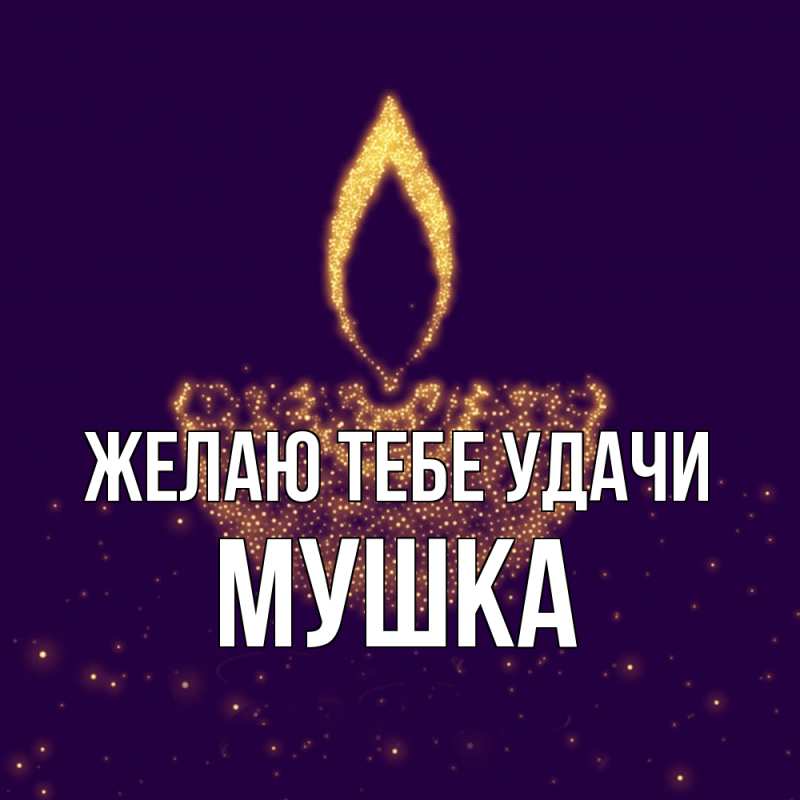 Картинка Желаю тебе удачи, мушка