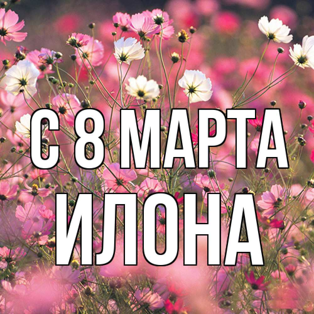 Открытка на каждый день с именем, Илона C 8 МАРТА красиво 1 Прикольная открытка с пожеланием онлайн скачать бесплатно 