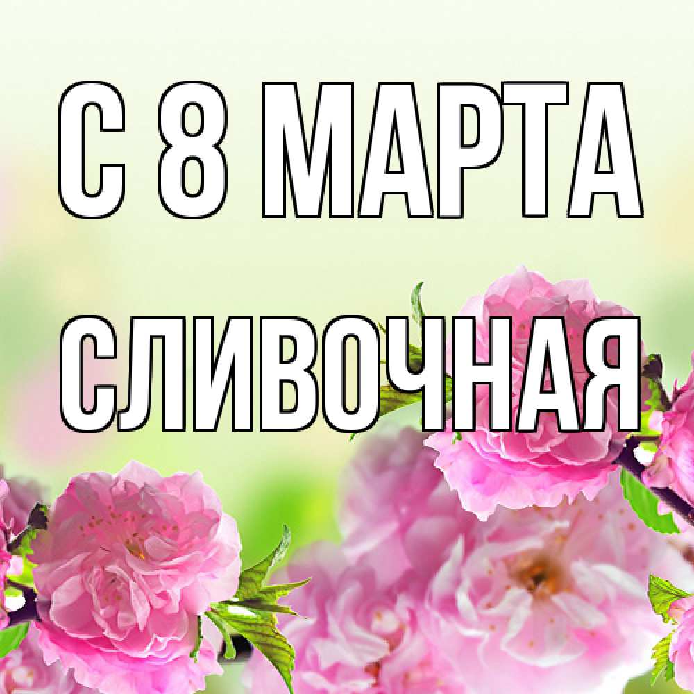 Открытка на каждый день с именем, Сливочная C 8 МАРТА цветы Прикольная открытка с пожеланием онлайн скачать бесплатно 