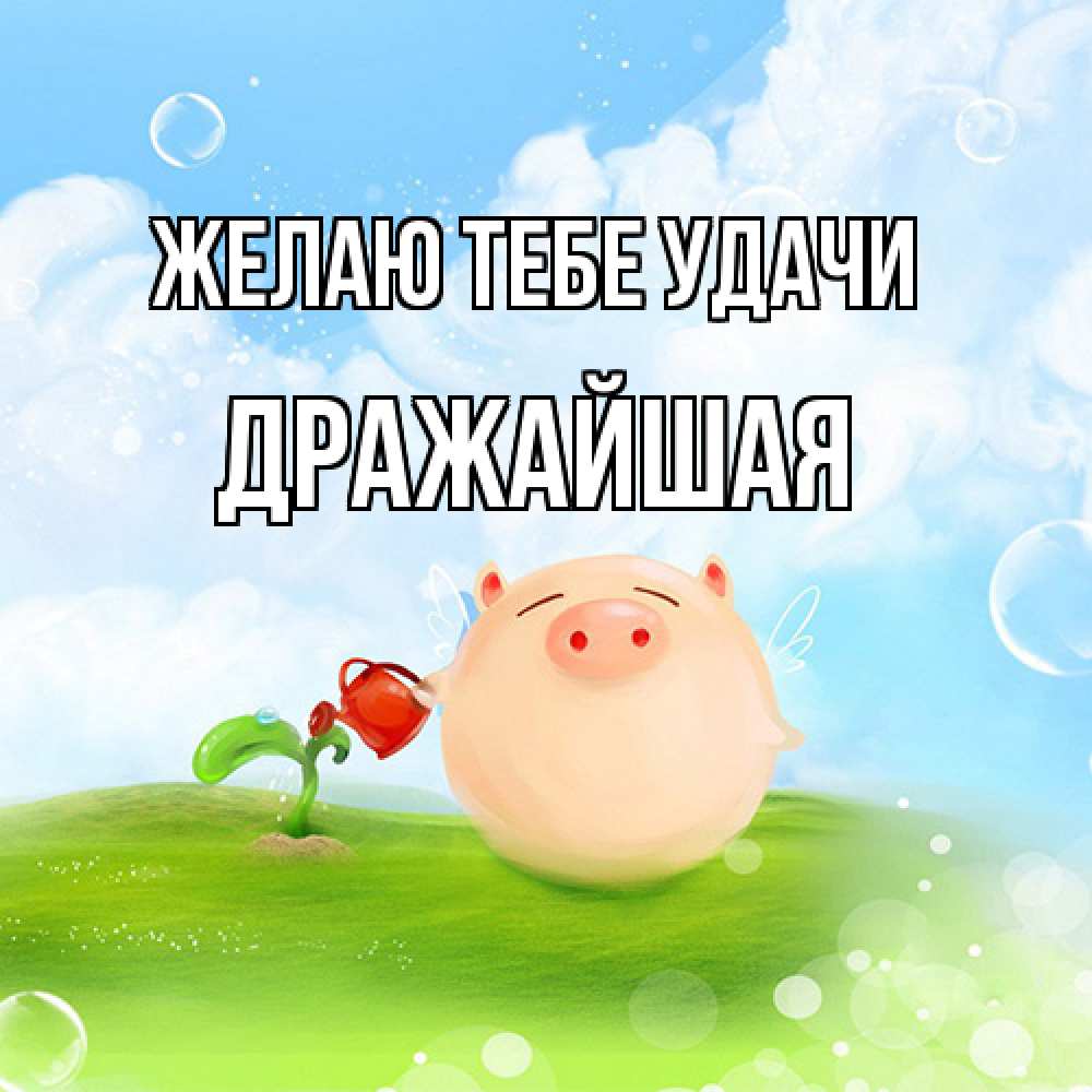 Открытка на каждый день с именем, дражайшая Желаю тебе удачи поросенок поливает цветок. летнее настроение Прикольная открытка с пожеланием онлайн скачать бесплатно 