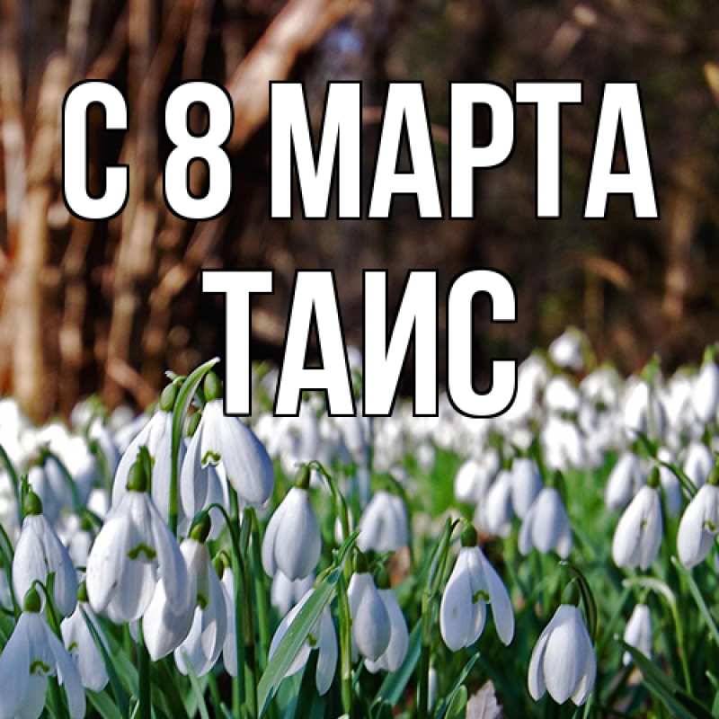 Картинка C 8 МАРТА, Таис