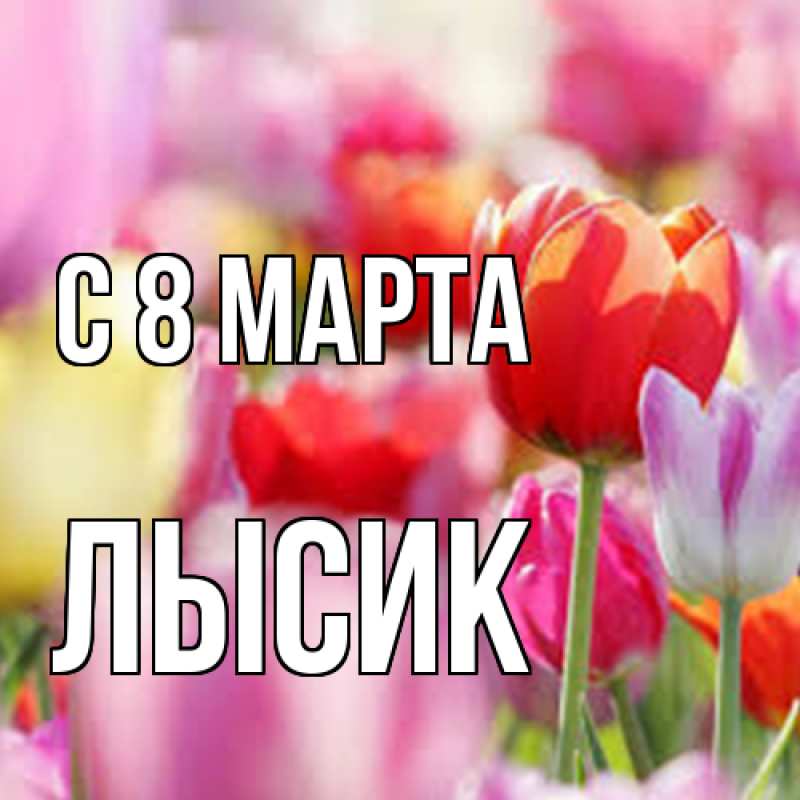 Картинка C 8 МАРТА, Лысик