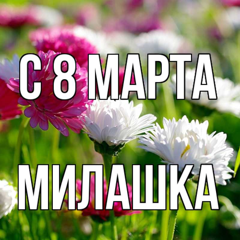 Картинка C 8 МАРТА, Милашка