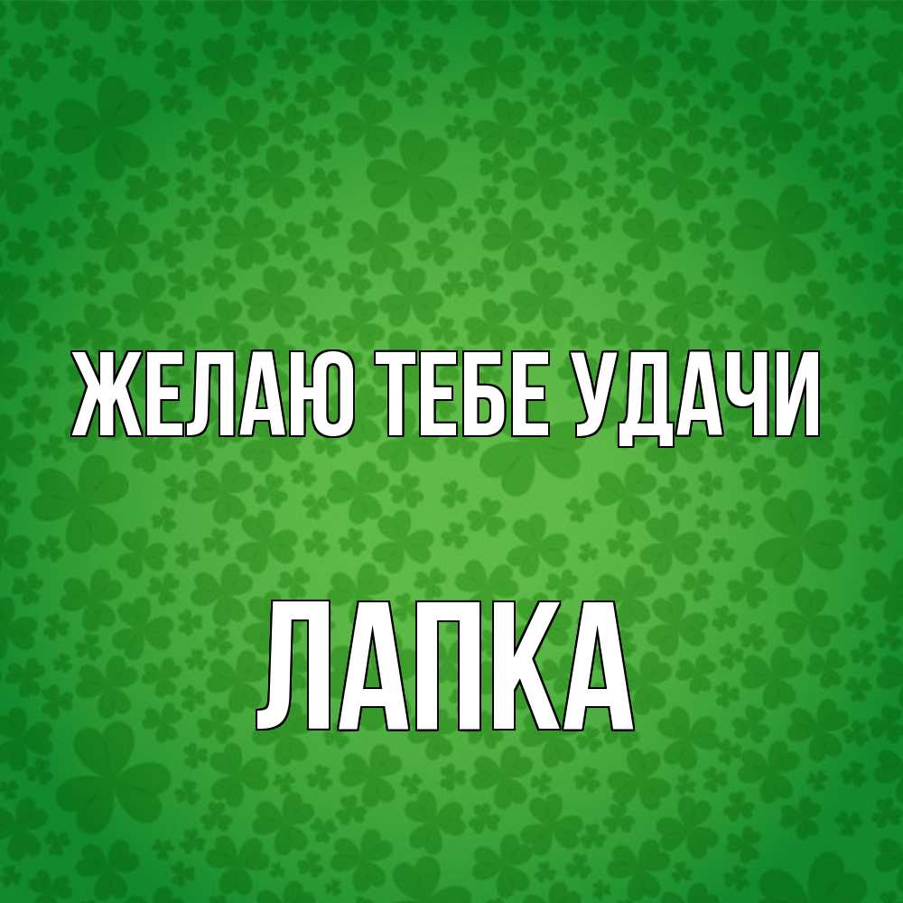 Открытка на каждый день с именем, лапка Желаю тебе удачи много листочков на удачу Прикольная открытка с пожеланием онлайн скачать бесплатно 