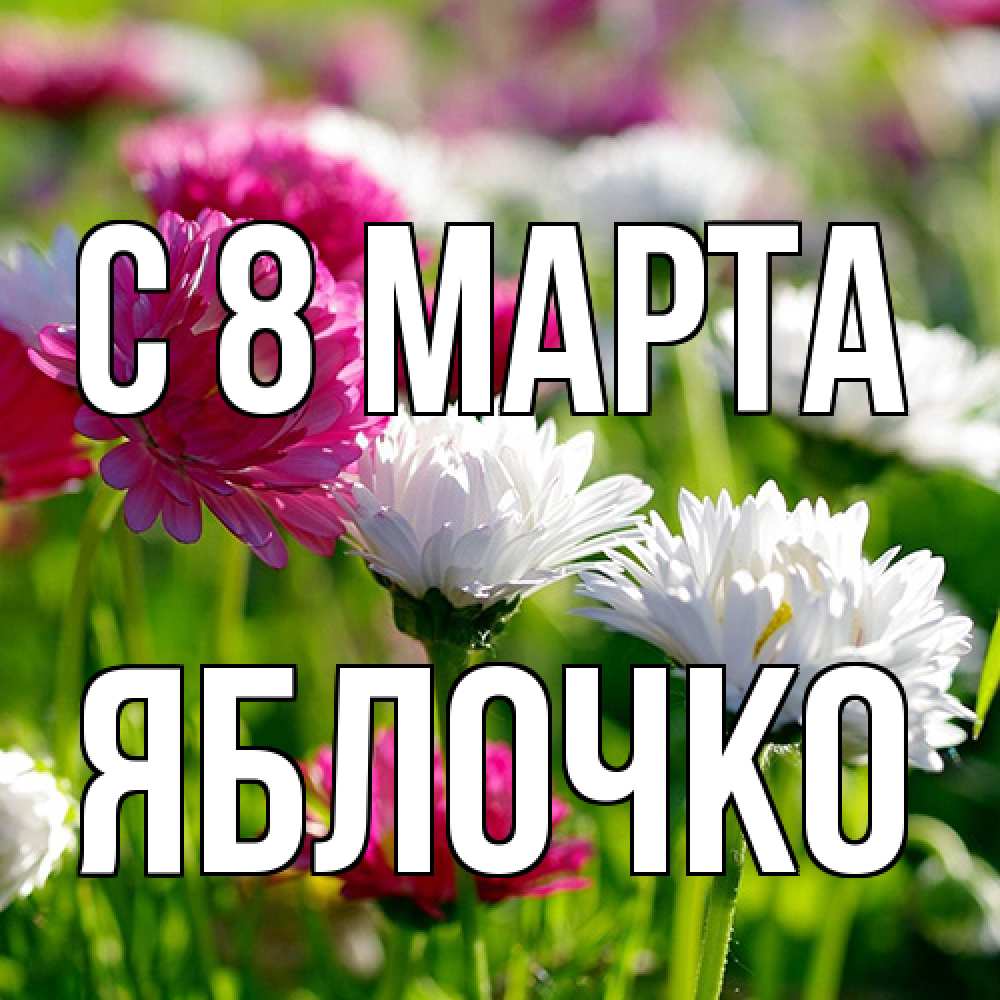 Открытка на каждый день с именем, яблочко C 8 МАРТА международный женский день 1 Прикольная открытка с пожеланием онлайн скачать бесплатно 