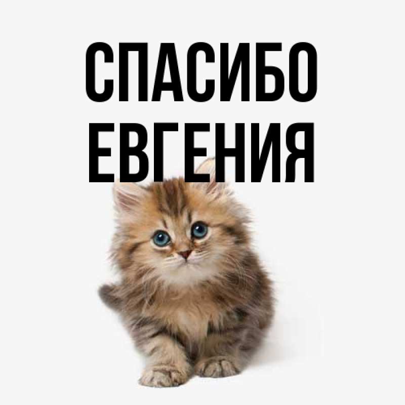 Картинка Спасибо, Евгения