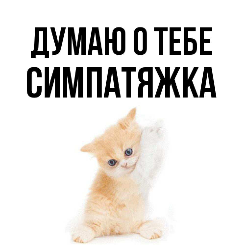 Открытка на каждый день с именем, Симпатяжка Думаю о тебе зверушки и милота Прикольная открытка с пожеланием онлайн скачать бесплатно 