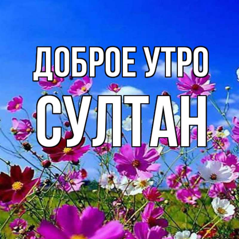 Картинка Доброе утро, Султан