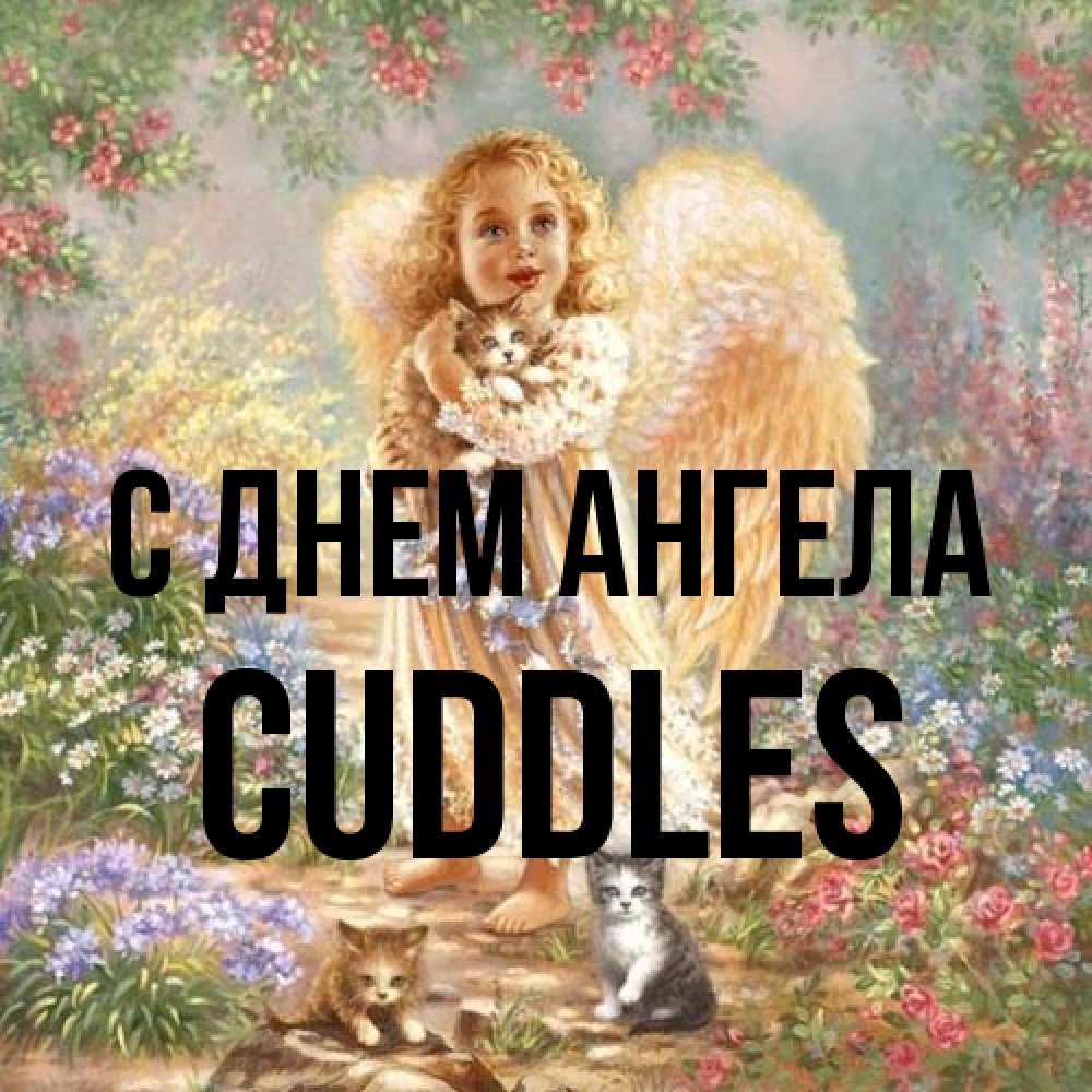 Открытка на каждый день с именем, Cuddles С днем ангела держит котенка Прикольная открытка с пожеланием онлайн скачать бесплатно 