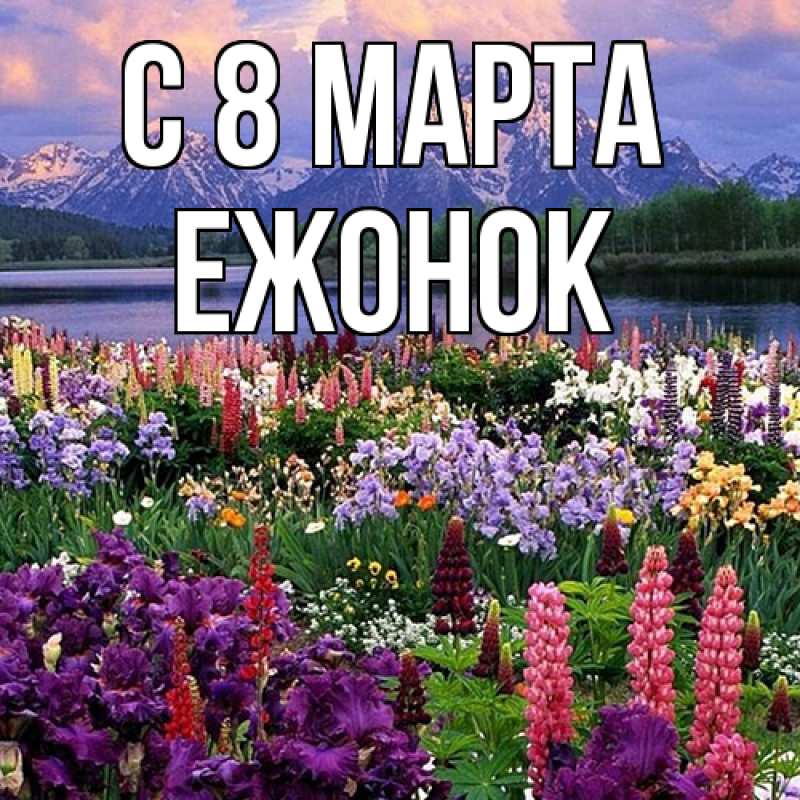 Картинка C 8 МАРТА, Ежонок
