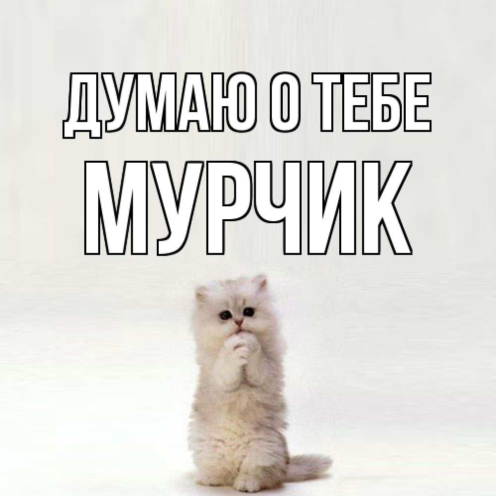 Открытка на каждый день с именем, Мурчик Думаю о тебе кот стоит на задних лапах Прикольная открытка с пожеланием онлайн скачать бесплатно 