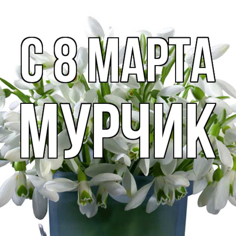 Картинка C 8 МАРТА, Мурчик