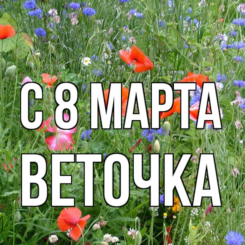 Картинка C 8 МАРТА, Веточка
