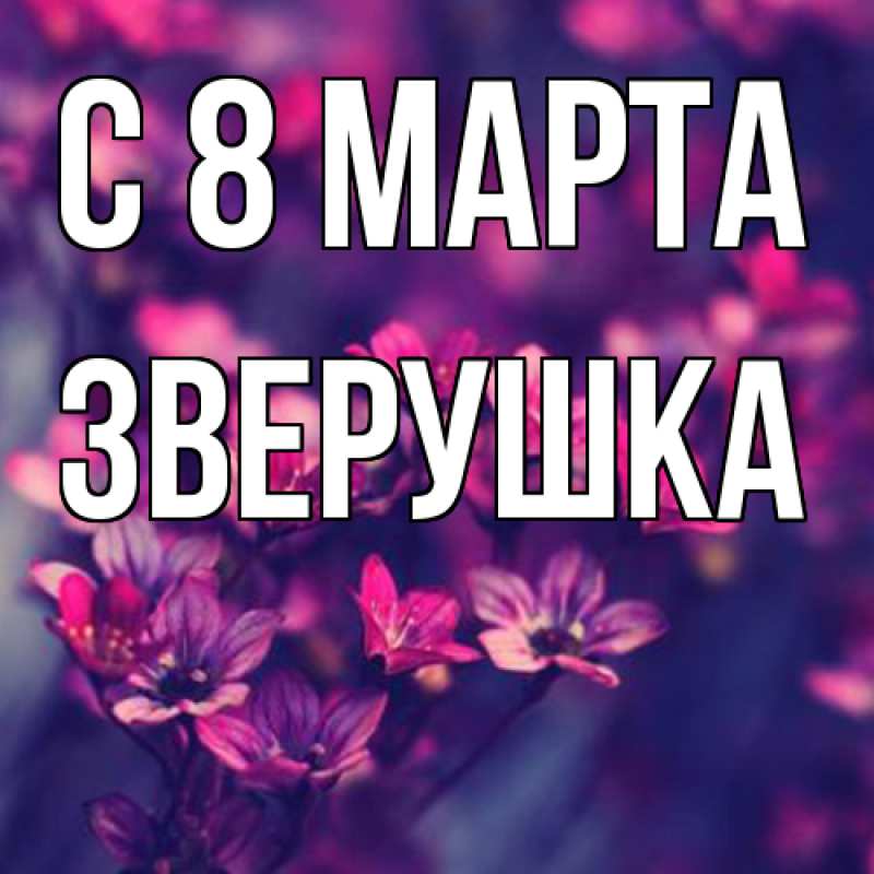 Картинка C 8 МАРТА, Зверушка