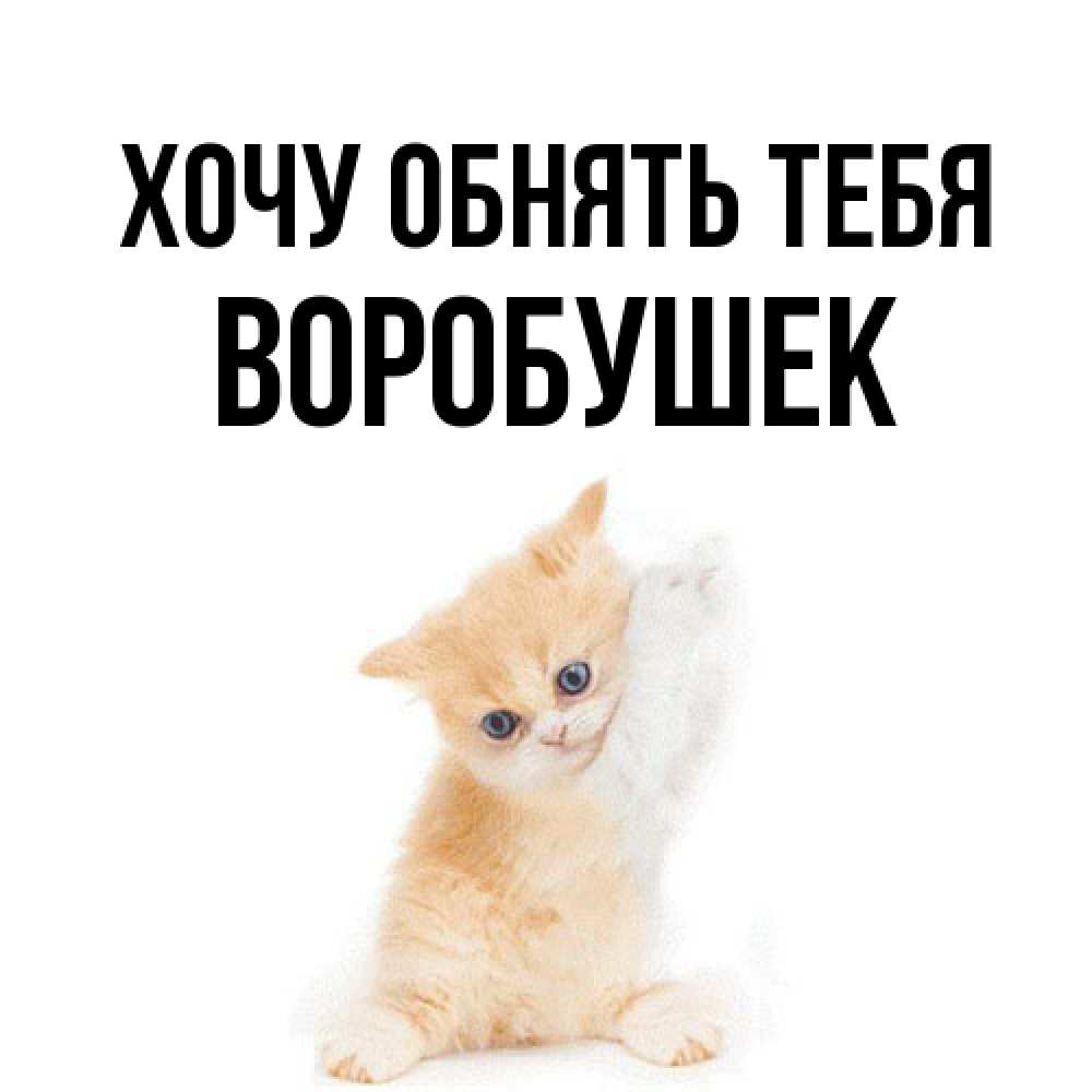 Открытка на каждый день с именем, Воробушек Хочу обнять тебя я хочу очень скорее обнимаешек Прикольная открытка с пожеланием онлайн скачать бесплатно 