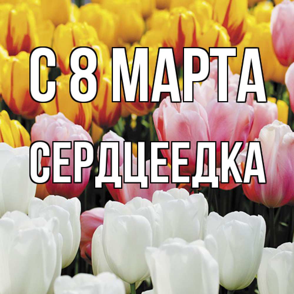 Открытка на каждый день с именем, сердцеедка C 8 МАРТА разноцветные цветы Прикольная открытка с пожеланием онлайн скачать бесплатно 