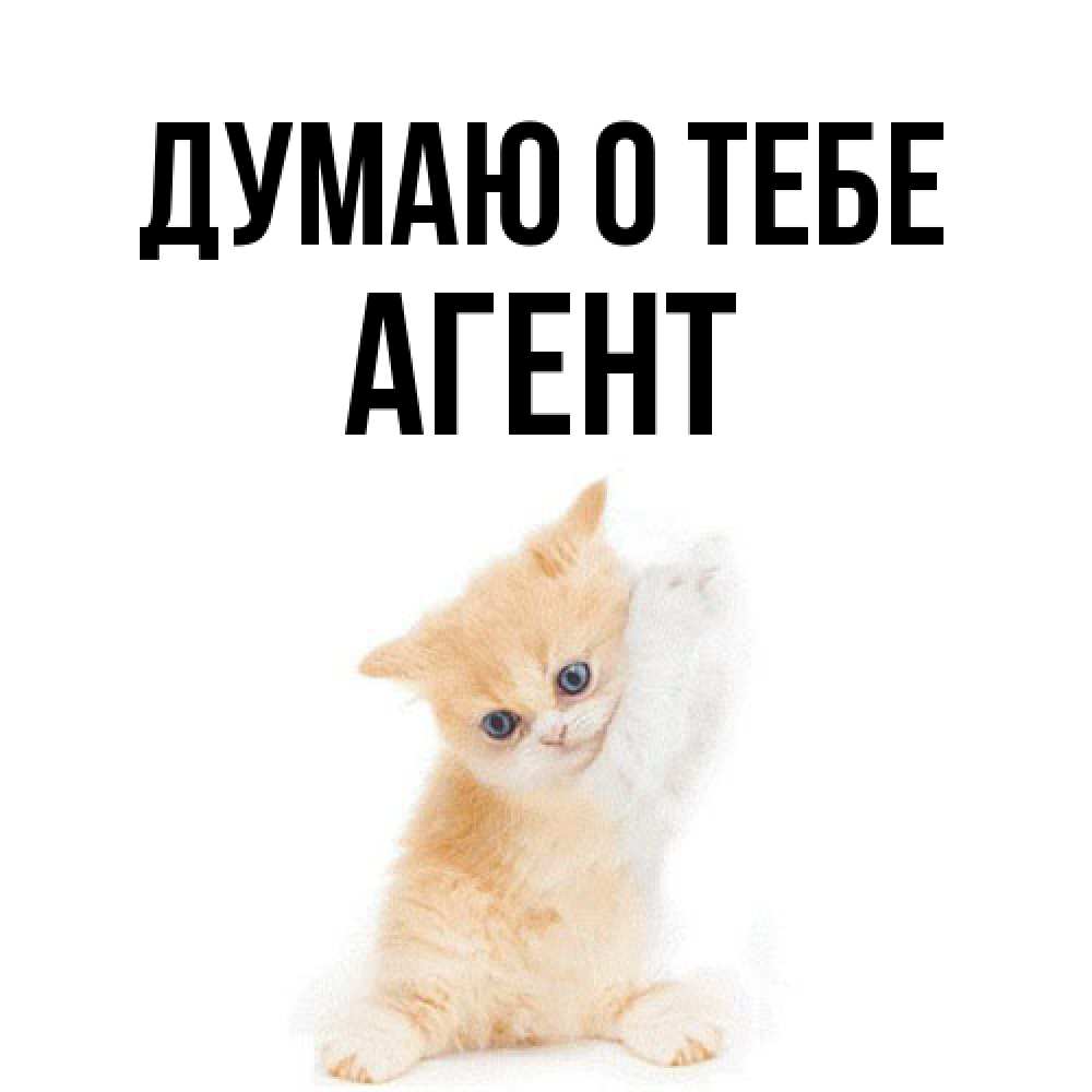 Открытка на каждый день с именем, Агент Думаю о тебе зверушки и милота Прикольная открытка с пожеланием онлайн скачать бесплатно 