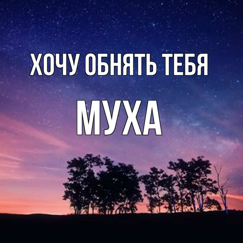Картинка Хочу обнять тебя, Муха