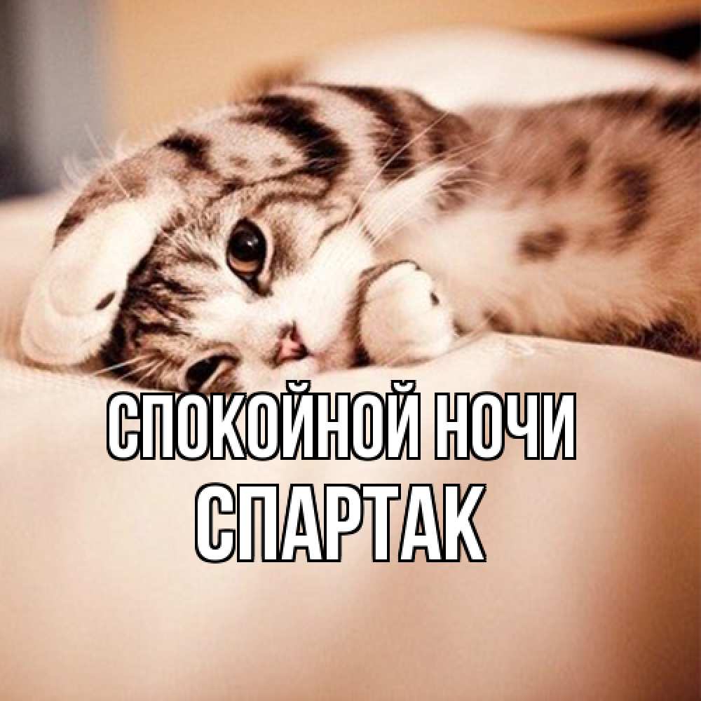 Открытка на каждый день с именем, Спартак Спокойной ночи сладких снов с животными Прикольная открытка с пожеланием онлайн скачать бесплатно 
