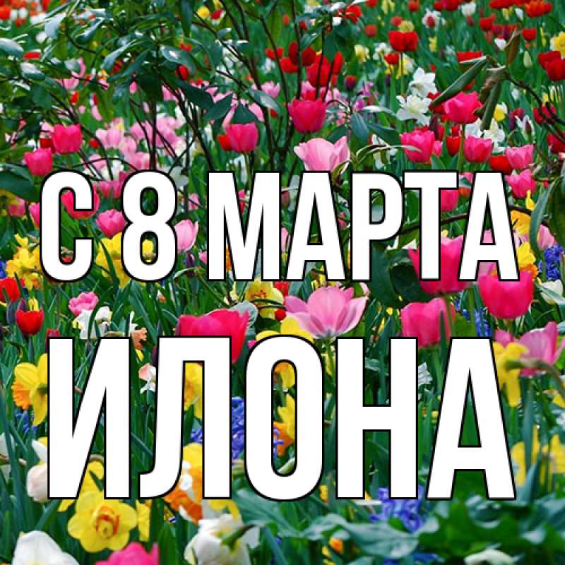 Картинка C 8 МАРТА, Илона