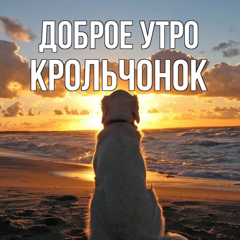 Картинка Доброе утро, Крольчонок