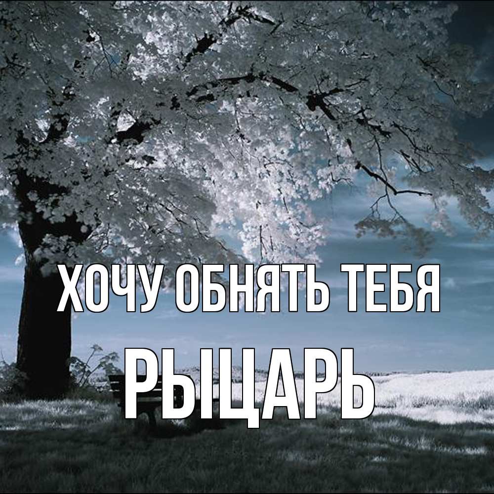 Открытка на каждый день с именем, Рыцарь Хочу обнять тебя дерево Прикольная открытка с пожеланием онлайн скачать бесплатно 