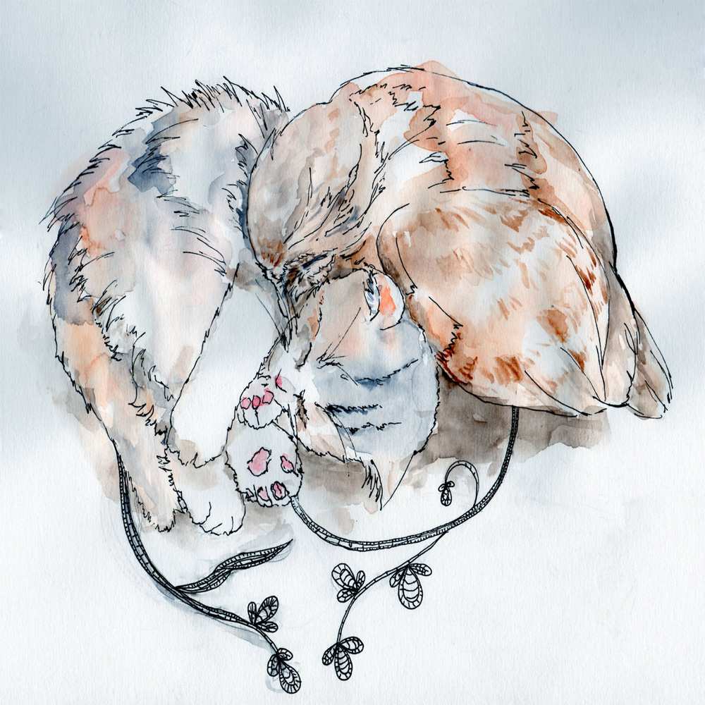 Открытка на каждый день с именем, фунтик Хочу обнять тебя можно быть вместе даже когда очень разные Прикольная открытка с пожеланием онлайн скачать бесплатно 