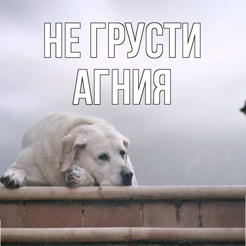 Картинка Не грусти, Агния