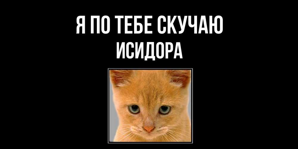 Открытка на каждый день с именем, Исидора Я по тебе скучаю открытки рыжий котенок скучает по тебе Прикольная открытка с пожеланием онлайн скачать бесплатно 