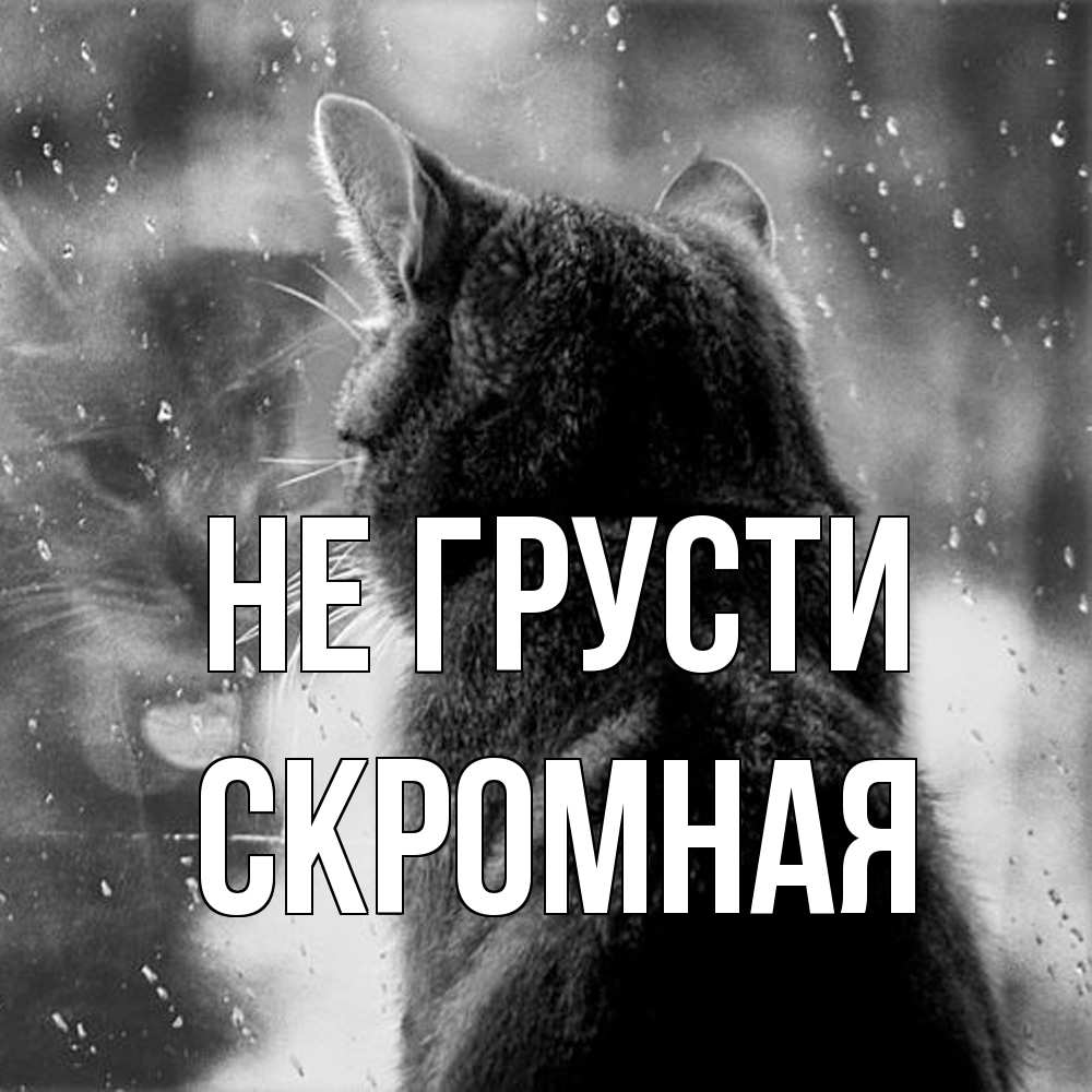 Открытка на каждый день с именем, скромная Не грусти отражение кота 1 Прикольная открытка с пожеланием онлайн скачать бесплатно 