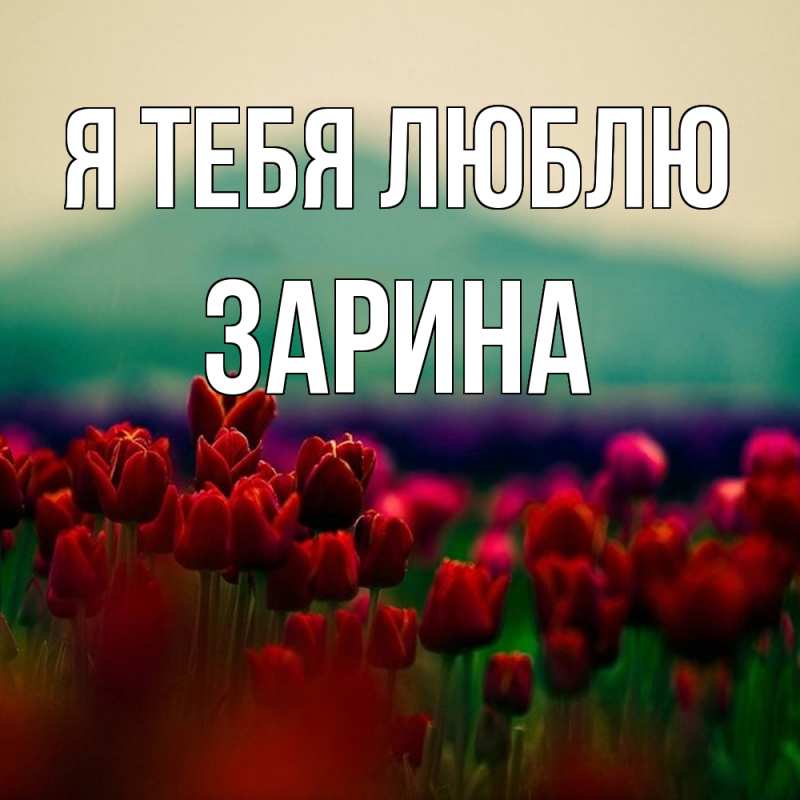 Картинка Я тебя люблю, Зарина