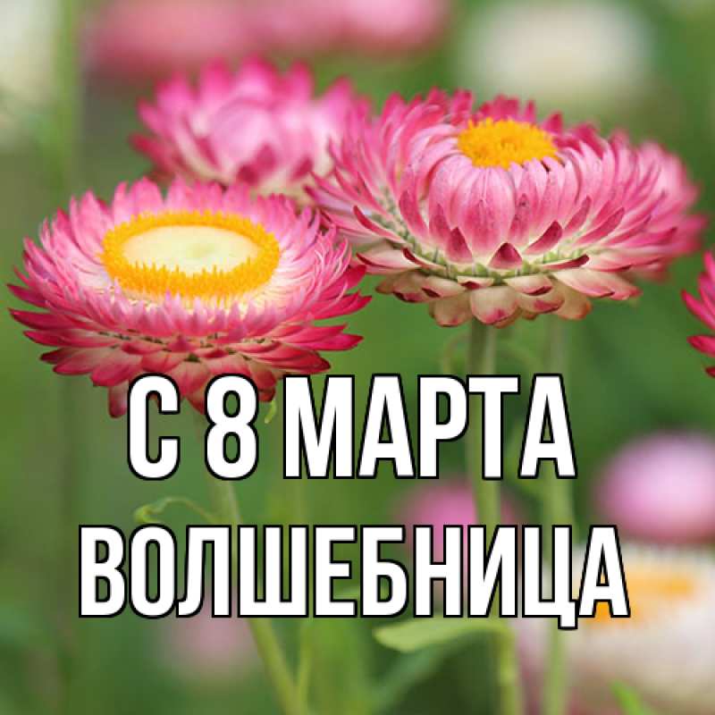 Картинка C 8 МАРТА, волшебница