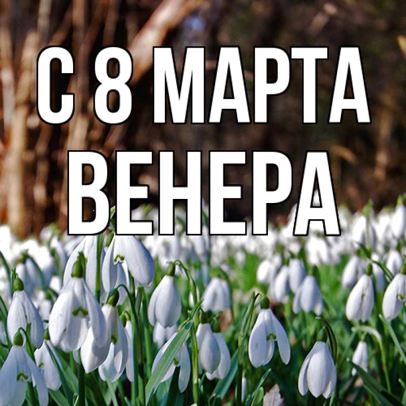 Картинка C 8 МАРТА, Венера
