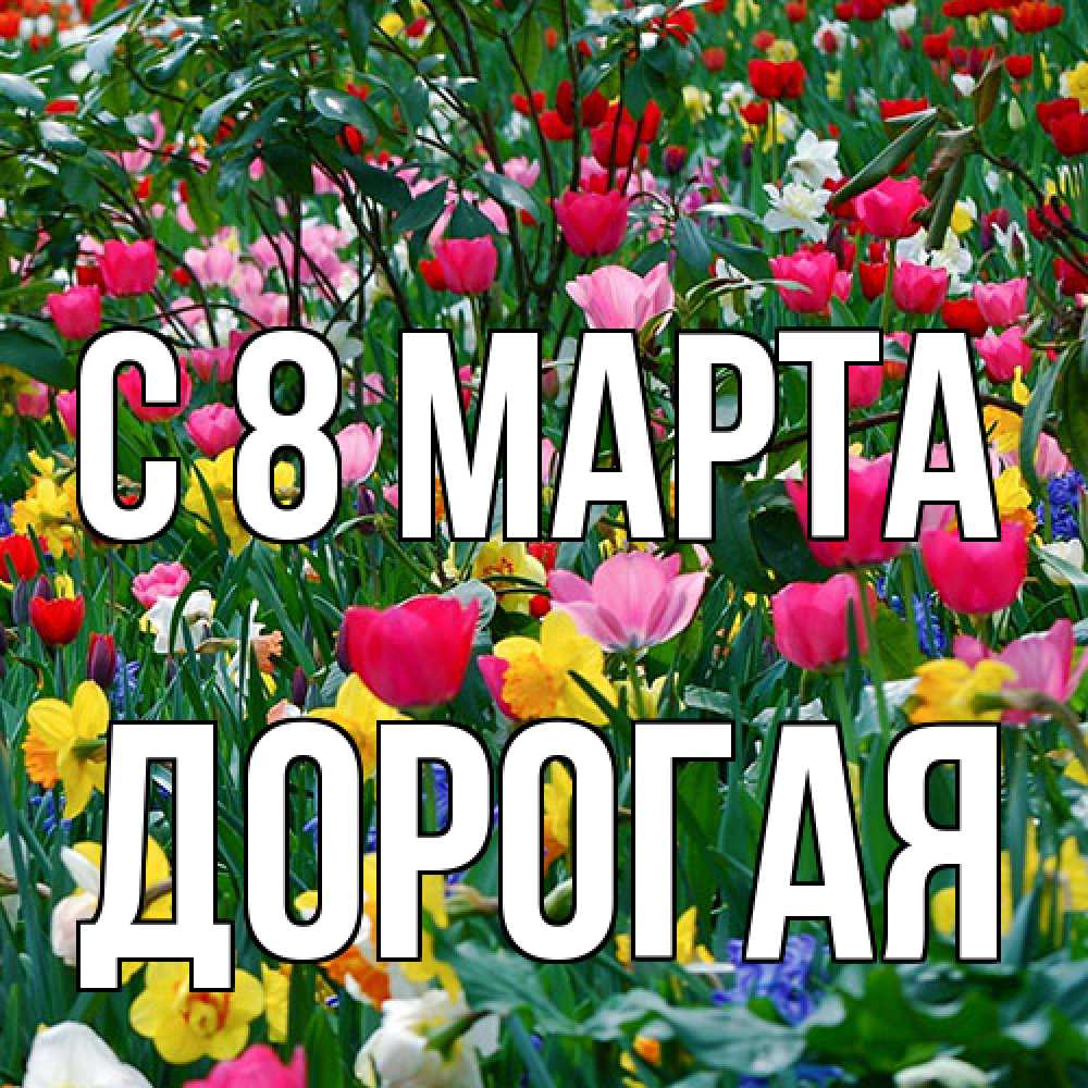 Открытка на каждый день с именем, Дорогая C 8 МАРТА с международным женским днем поздравления для женщины Прикольная открытка с пожеланием онлайн скачать бесплатно 