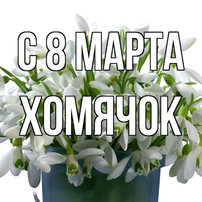 Картинка C 8 МАРТА, Хомячок