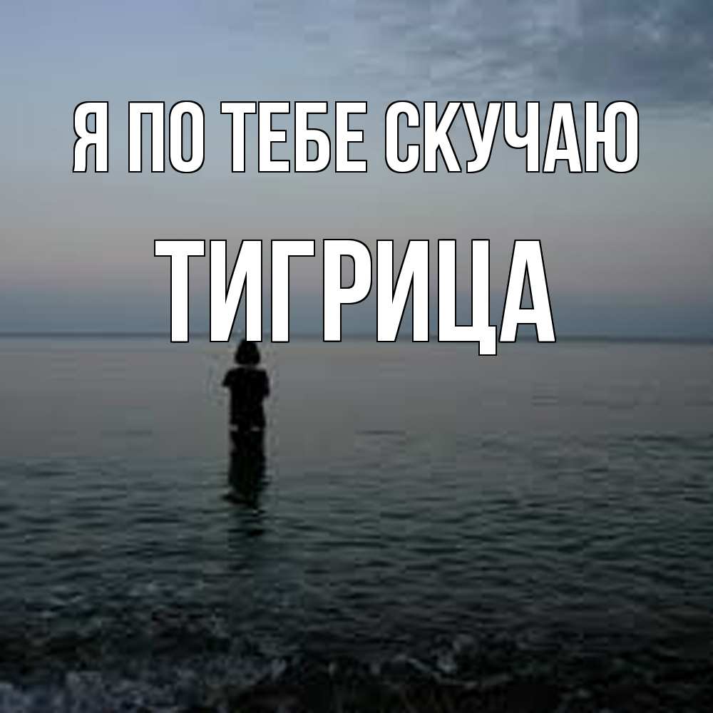 Открытка на каждый день с именем, Тигрица Я по тебе скучаю скука Прикольная открытка с пожеланием онлайн скачать бесплатно 