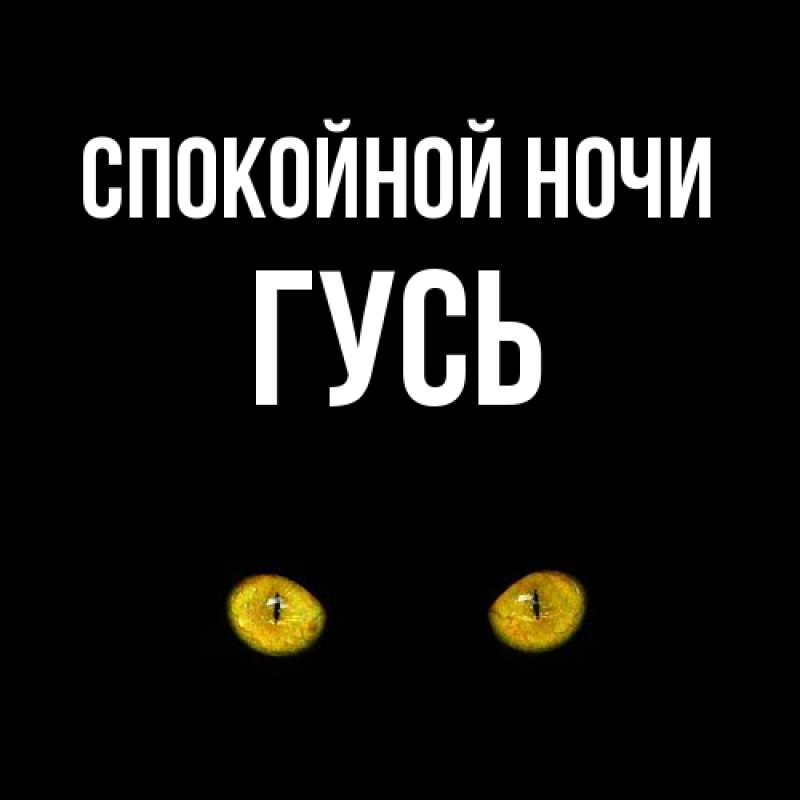 Картинка Спокойной ночи, Гусь