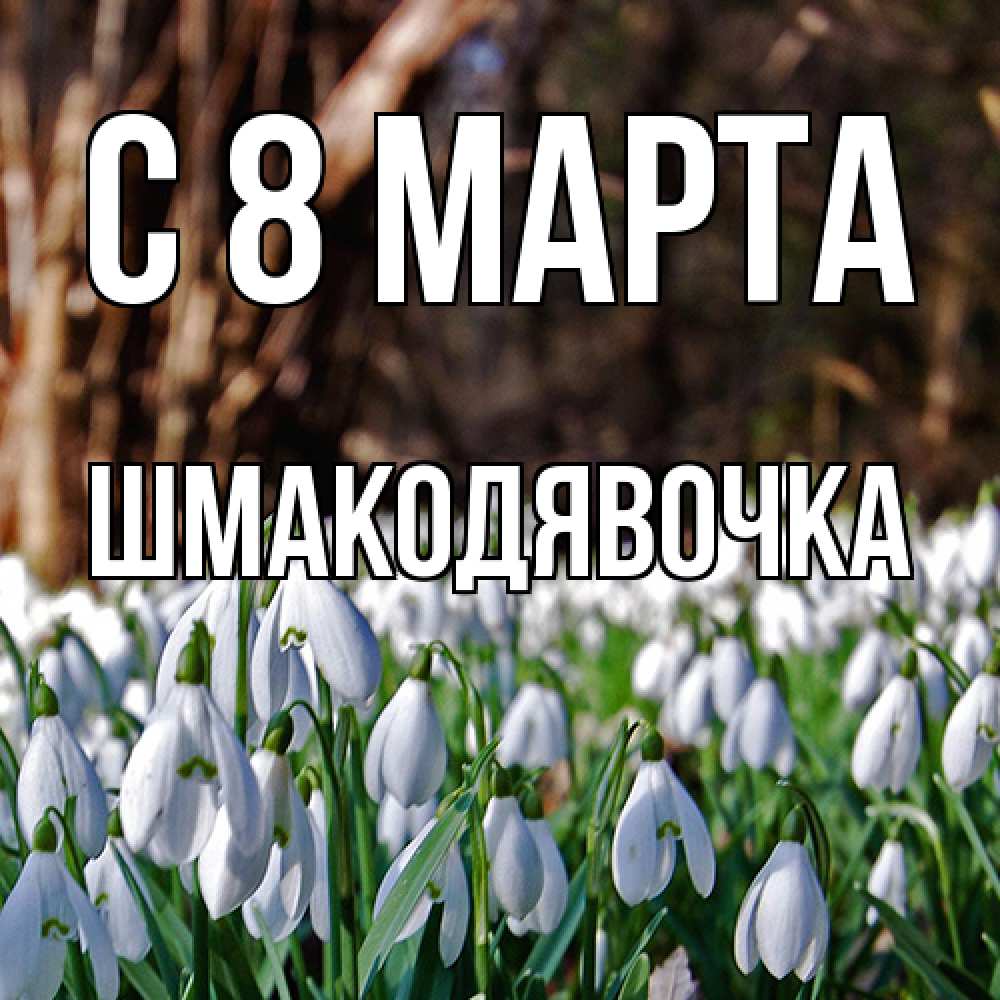 Открытка на каждый день с именем, шмакодявочка C 8 МАРТА с подснежниками 1 Прикольная открытка с пожеланием онлайн скачать бесплатно 