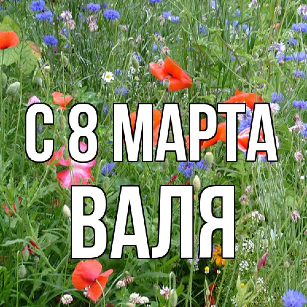 Открытка на каждый день с именем, Валя C 8 МАРТА международный женский день 4 Прикольная открытка с пожеланием онлайн скачать бесплатно 